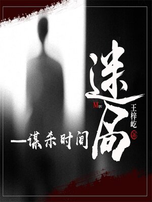 cover image of 迷局—谋杀时间
